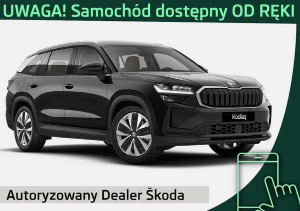 świętokrzyskie Skoda Kodiaq cena 2366900 przebieg: 3, rok produkcji 2024 z Zakopane